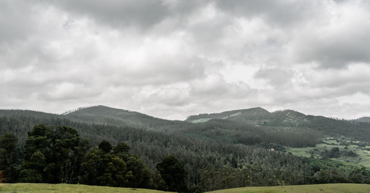 Captivating view of lush hills and cloudy sky in Ooty, Tamil Nadu.